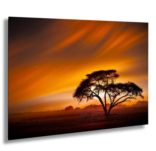 A lone tree silhouetted against a vibrant orange and yellow sunset sky, creating a striking and serene landscape.