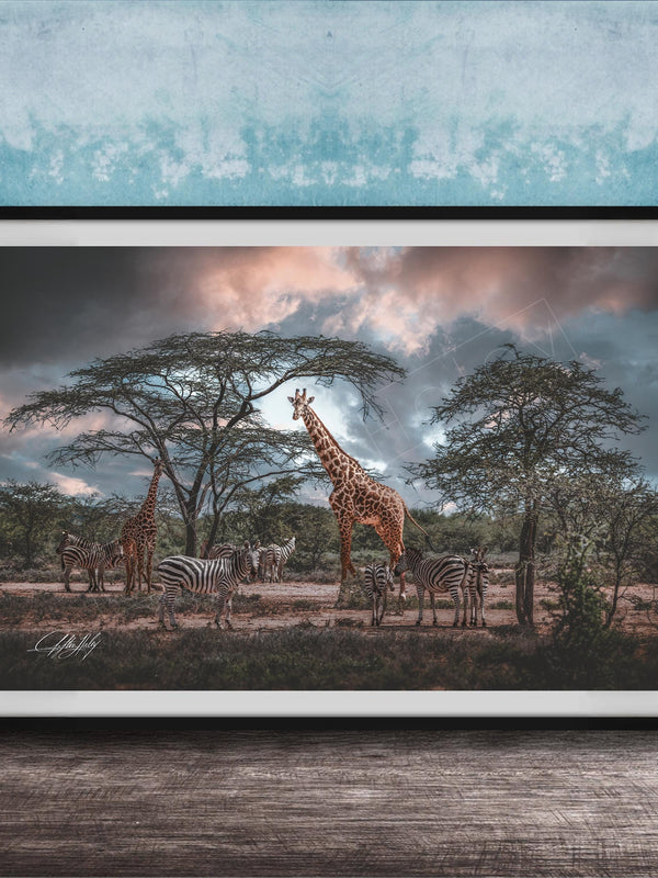 A framed photograph depicting a group of giraffes and zebras in a natural setting, with a cloudy sky in the background.