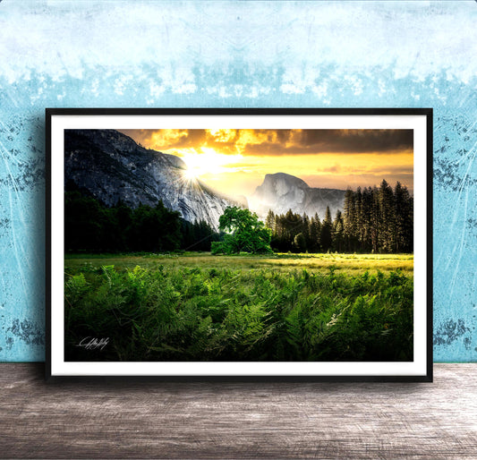 The image is a framed landscape photograph depicting a serene mountain scene with a lush green field, a tree, and a majestic mountain range in the background.