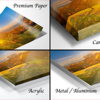 The image is a collage of four different images, each depicting a landscape scene. The images are labeled as "Premium Paper", "Canvas Wrap", "Acrylic", and "Metal/Aluminum".