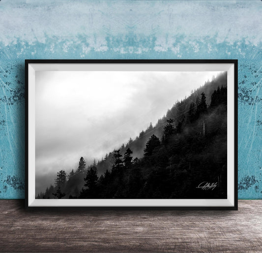 A framed black and white photograph depicting a misty forest landscape with a steep, foggy slope.