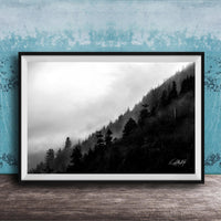 A framed black and white photograph depicting a misty forest landscape with a steep, foggy slope.