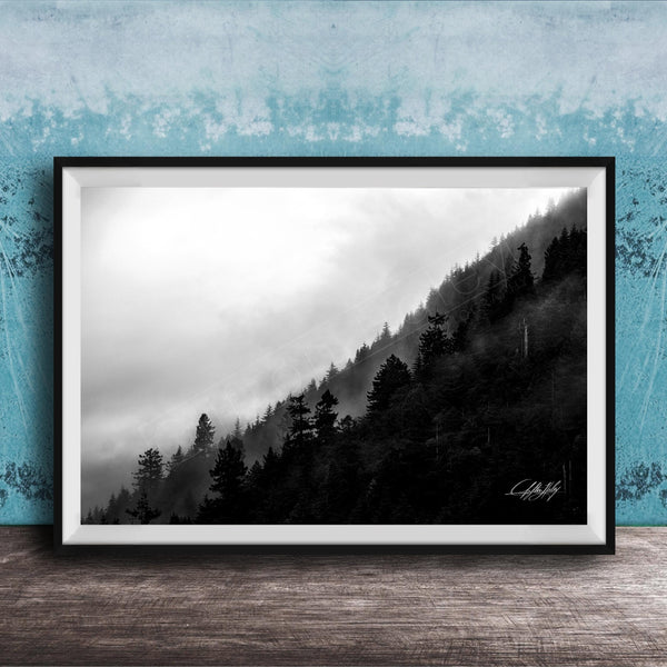 A framed black and white photograph depicting a misty forest landscape with a steep, foggy slope.
