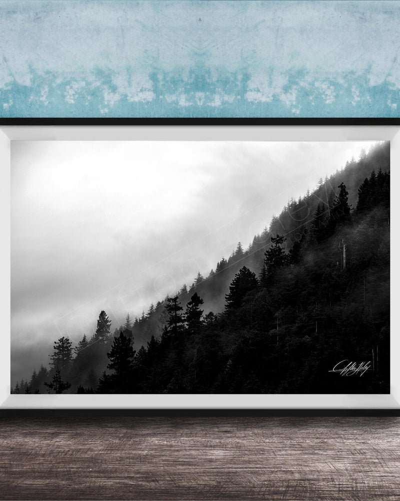 A framed black and white photograph depicting a misty forest landscape with a steep, foggy slope.