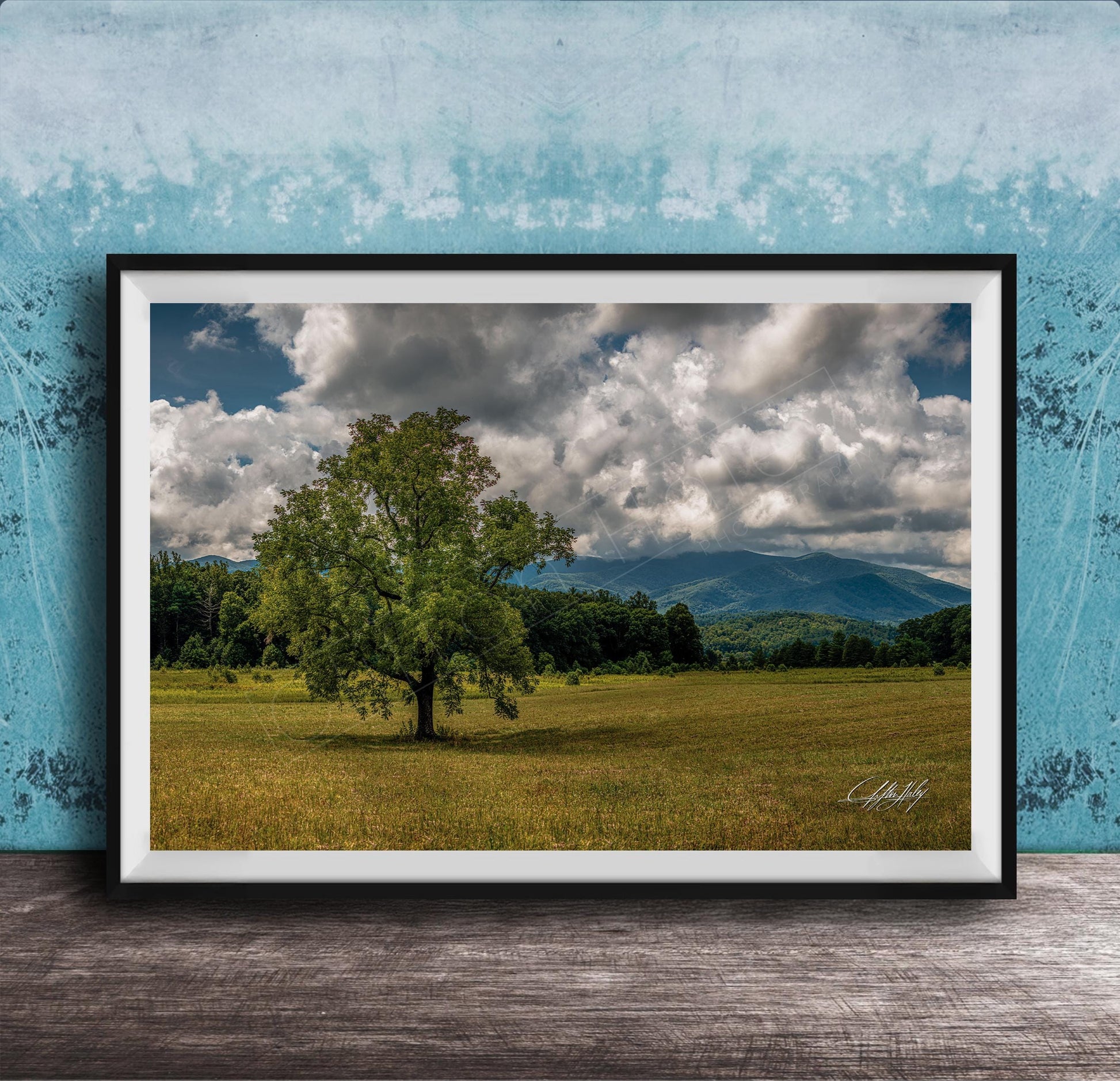 A framed photograph of a large tree in a grassy field, with mountains visible in the background under a cloudy sky.
