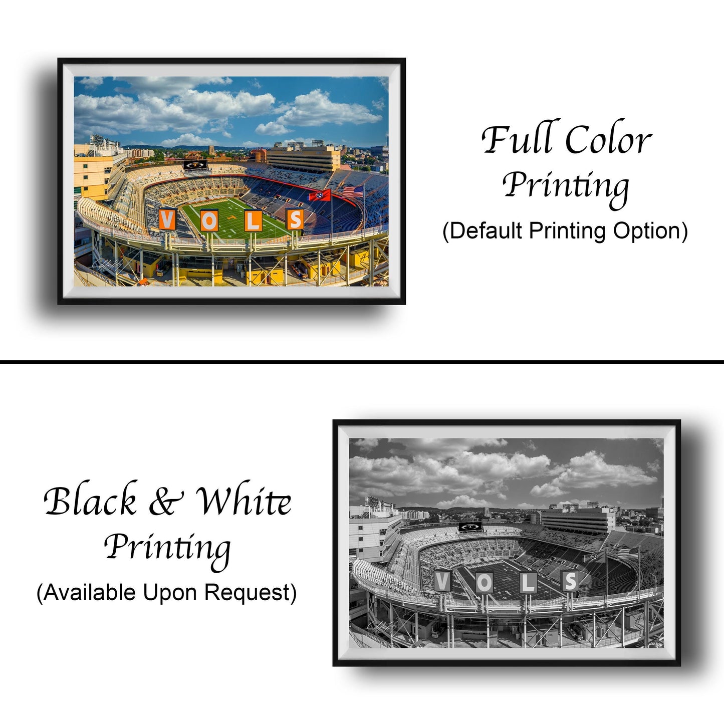 The image is a collage of two framed pictures. The top picture is a full color print of a stadium, while the bottom picture is a black and white print of the same stadium. Both pictures are labeled as "Full Color Printing" and "Black & White Printing", indicating that they are available upon request. The text "Default Printing Option" is also present, suggesting that the printing option is standard.