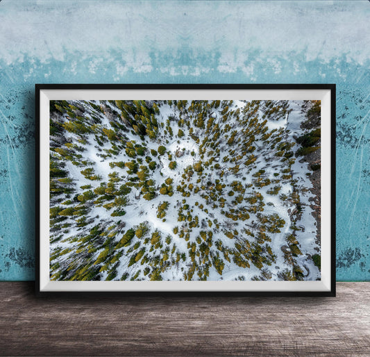 The image is a framed aerial photograph of a snowy forest, showcasing the dense forest covered in snow.