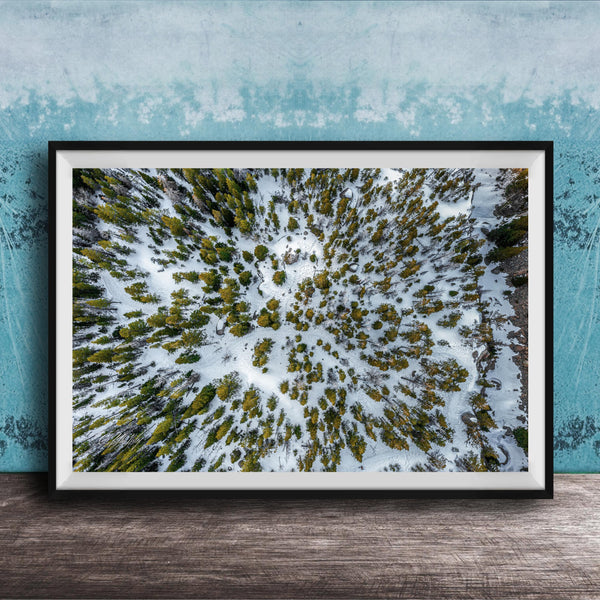 The image is a framed aerial photograph of a snowy forest, showcasing the dense forest covered in snow.
