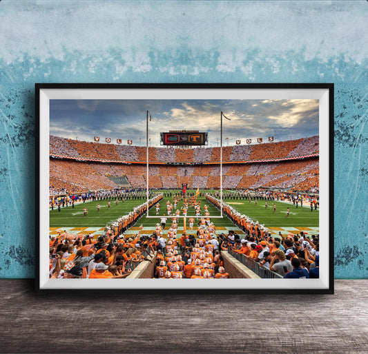 a large crowd of people gathered in a stadium, with a football field and players visible in the background.