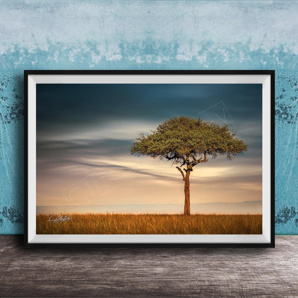 A framed photograph of a lone tree standing in a field, with a cloudy sky in the background.