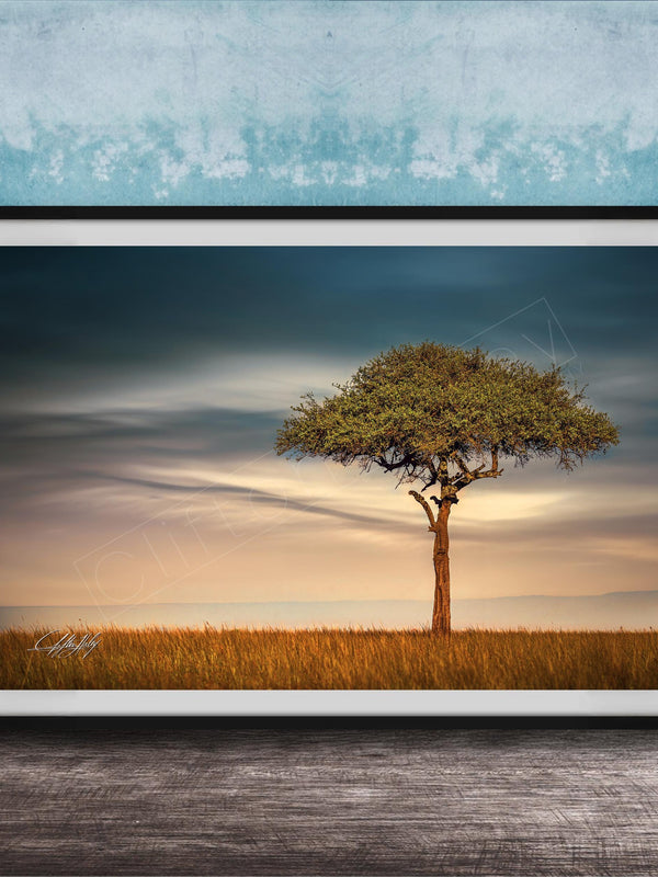 A framed photograph of a lone tree standing in a field, with a cloudy sky in the background.