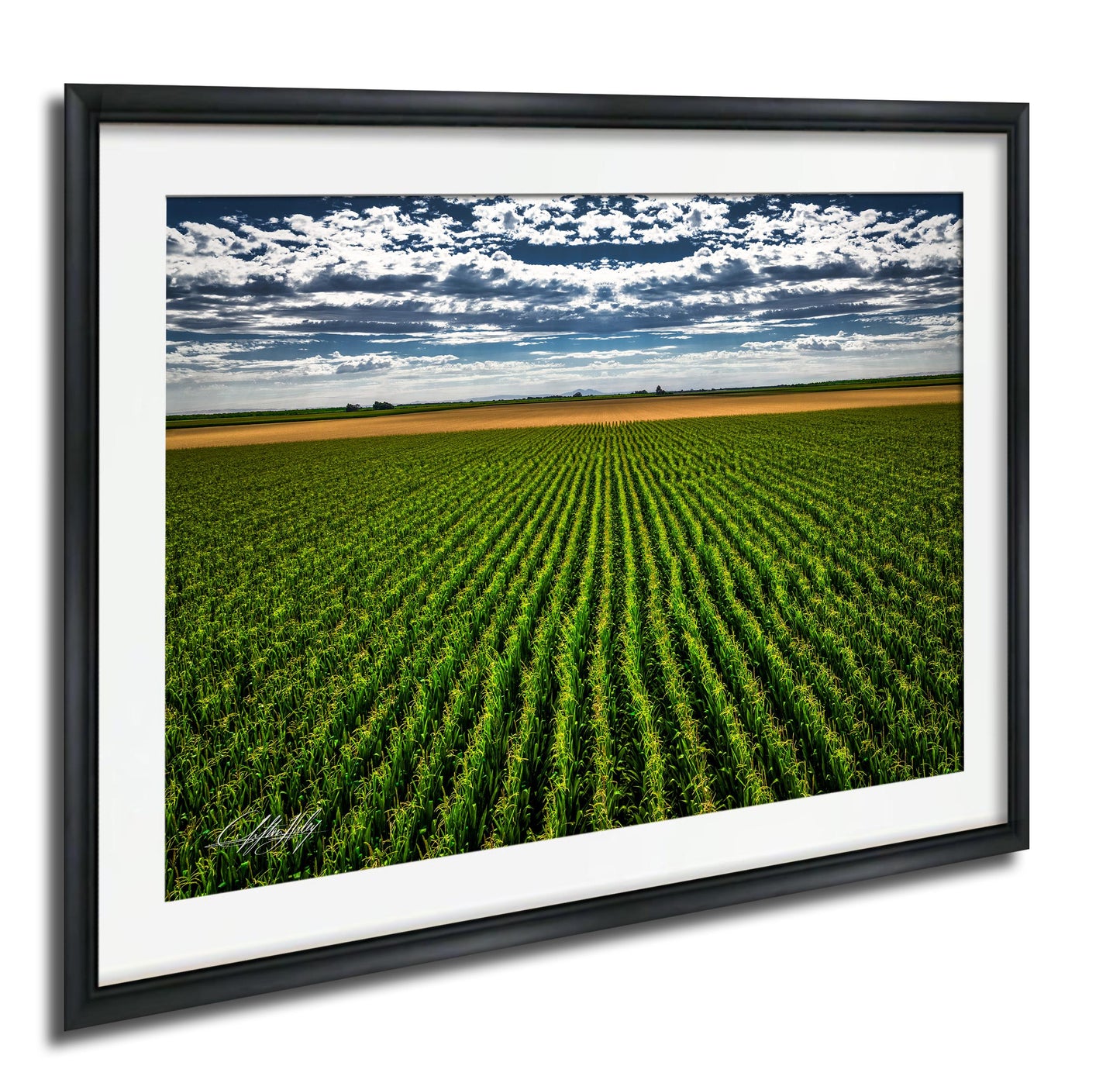 A framed photograph depicting a vast, lush green field with rows of crops stretching out into the distance under a cloudy sky.