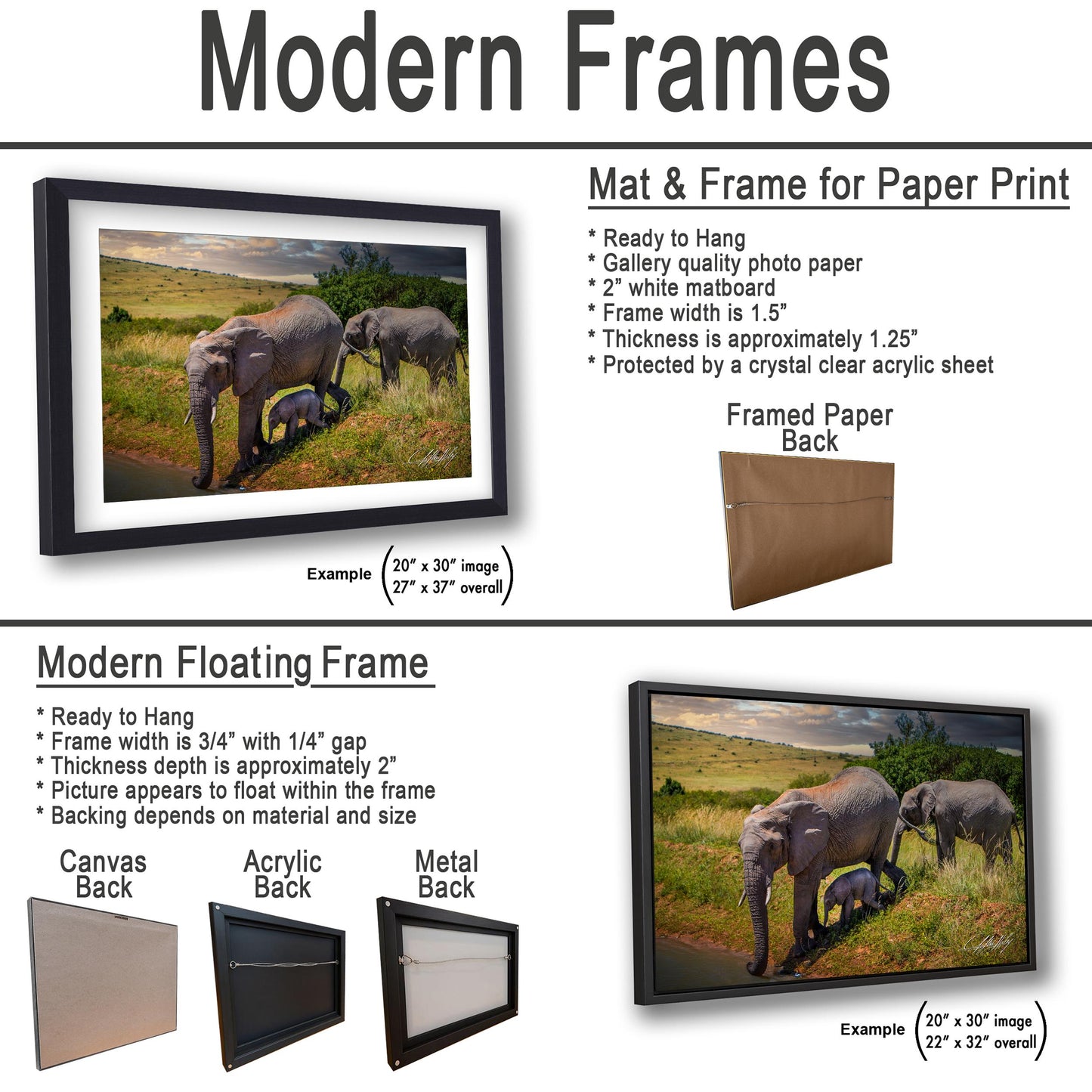 The image is a collage of two framed pictures, one of elephants and one of a baby elephant, both in a natural setting. The collage is presented in two different frame types: a modern floating frame and a modern hanging frame.