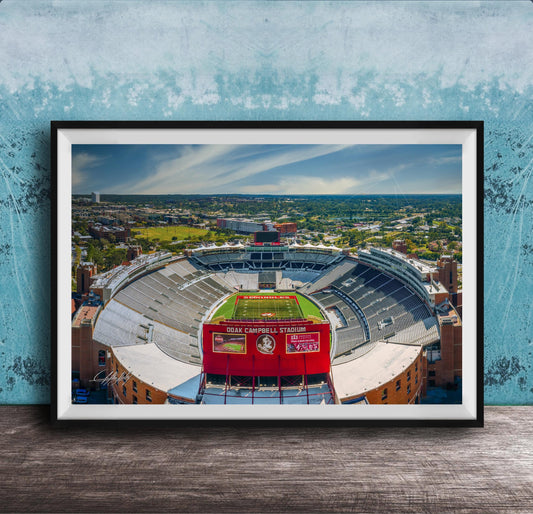 The image is a framed photograph of a football stadium, specifically Dokan Campbell Stadium, with a cityscape in the background.