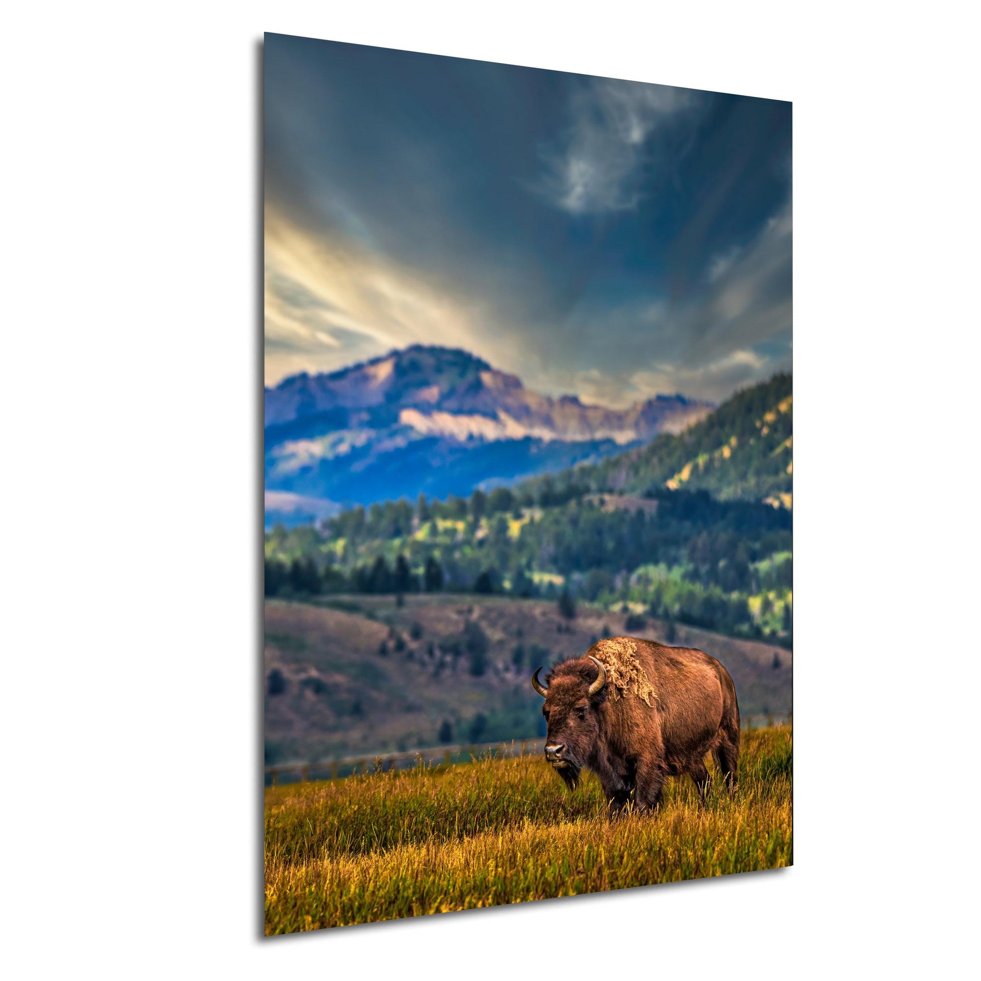 A large bison stands in a grassy field, with a majestic mountain range in the background under a dramatic cloudy sky.