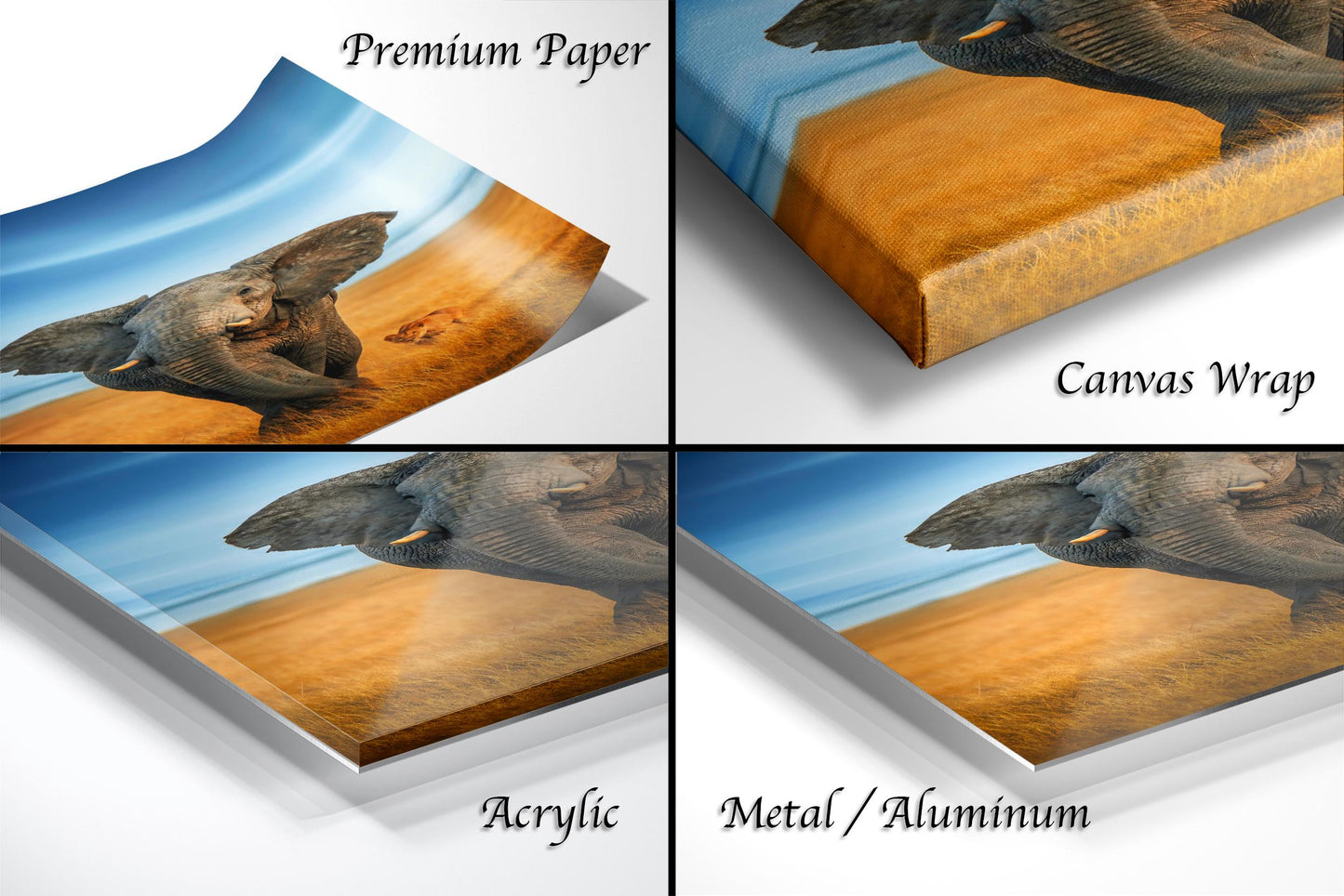 The image is a collage of four different views of an elephant, each with a different texture or finish, including a canvas wrap, acrylic, metal, and aluminum.