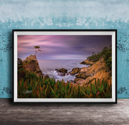 A framed photograph depicting a serene coastal landscape with a lone tree on a rocky cliff overlooking the ocean at sunset.