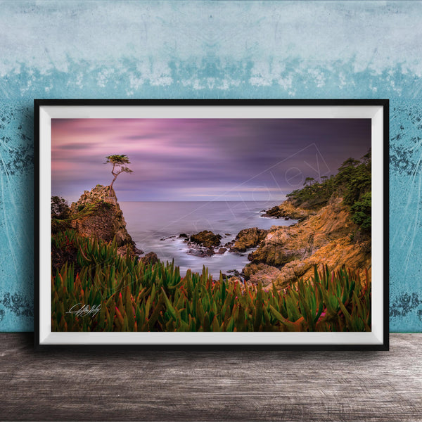 A framed photograph depicting a serene coastal landscape with a lone tree on a rocky cliff overlooking the ocean at sunset.