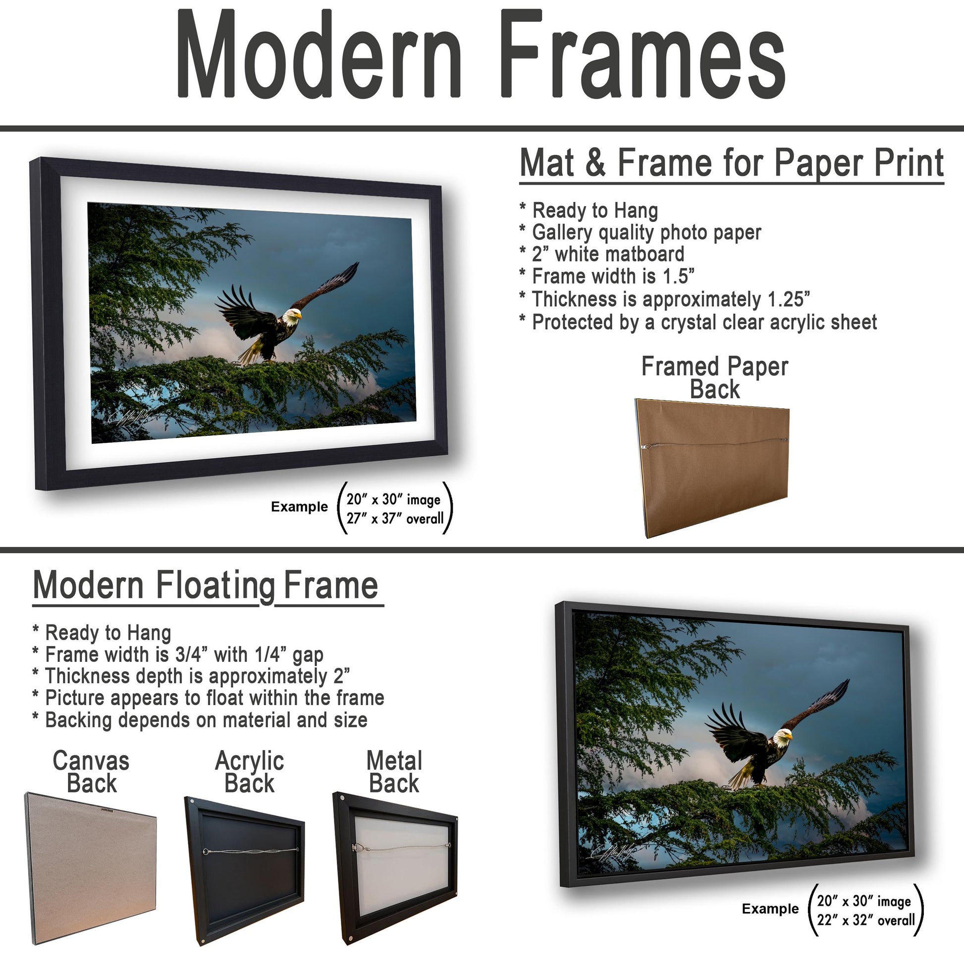 a picture of a bird flying through the air