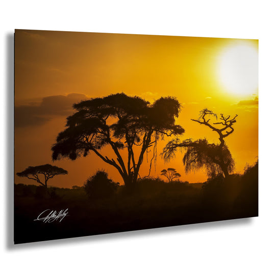 a serene sunset over a landscape, with silhouetted trees and a warm, golden glow in the sky.