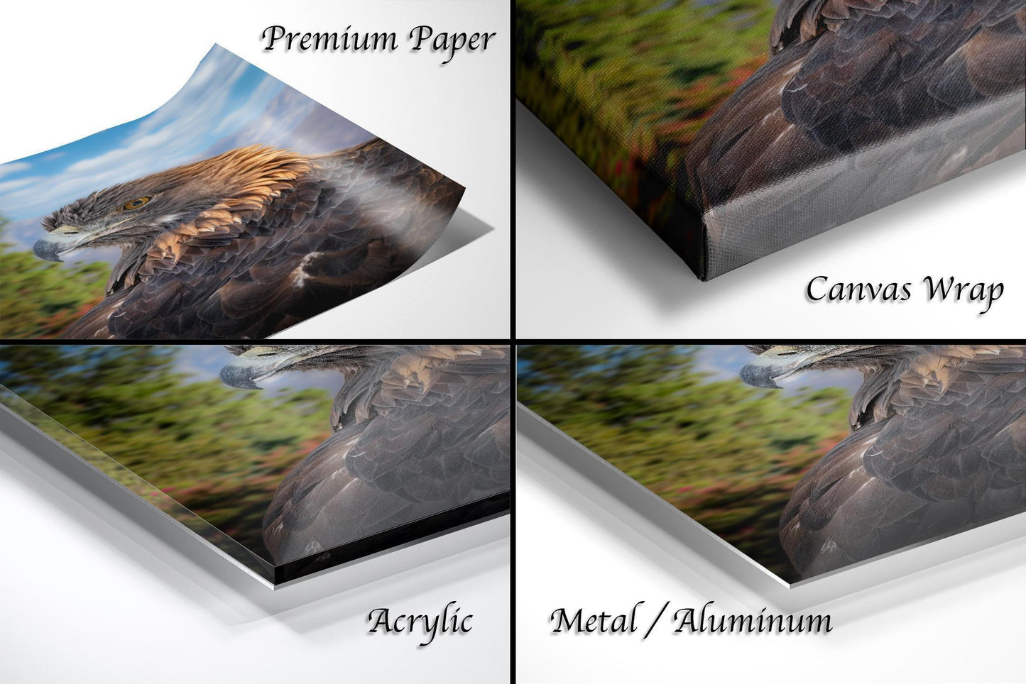 Red-Tail Hawk Photo - Soaring Hawk Print | Wildlife Wall Decor Art