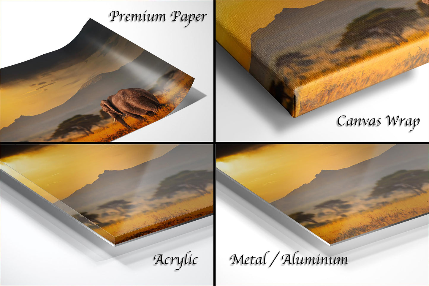 The image is a collage of four different views of a landscape, including a close-up of a canvas wrap, a close-up of a premium paper, and a close-up of a metal or aluminum surface.