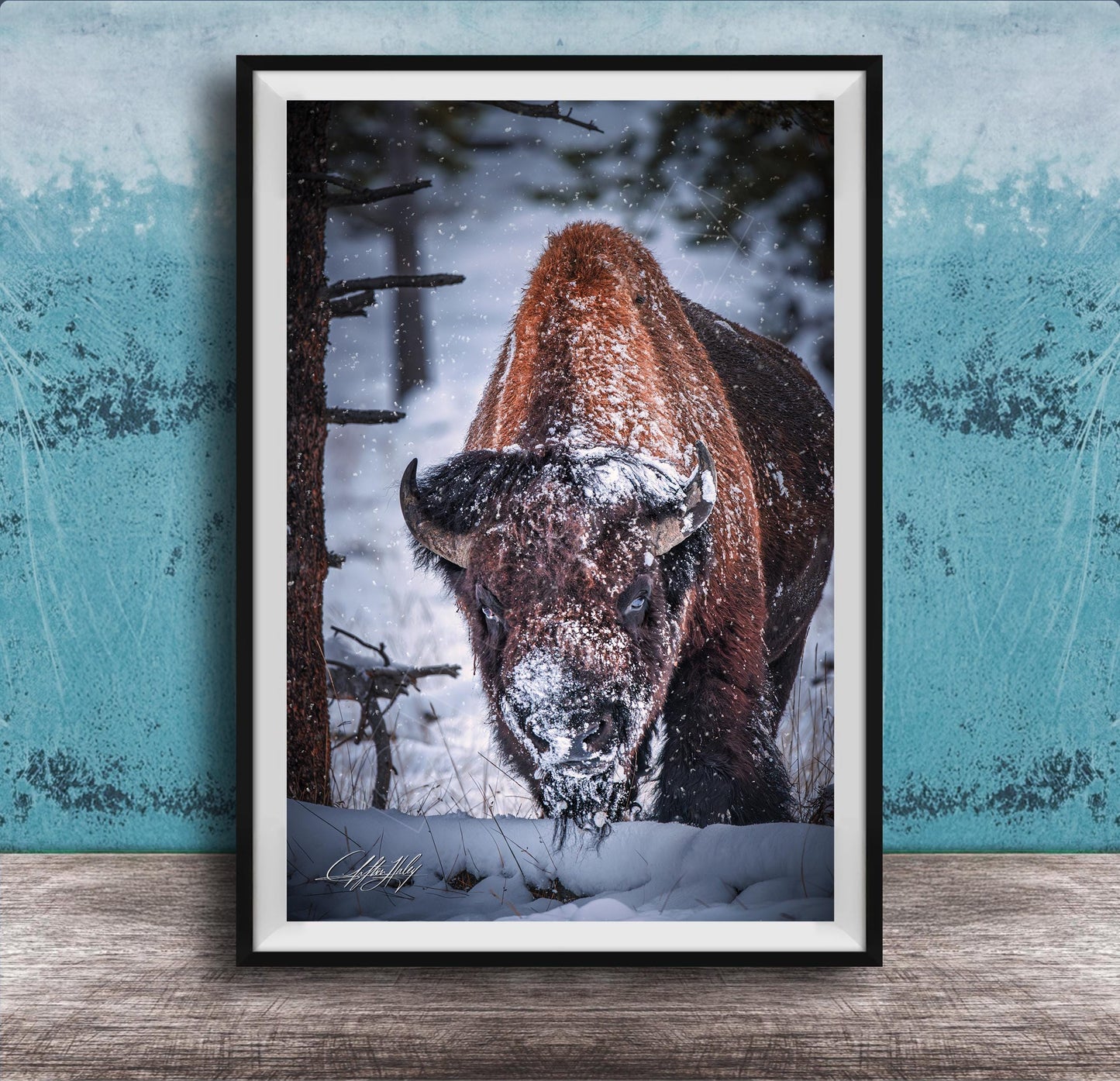A large brown bison with a snowy head and horns stands in a snowy forest, surrounded by snow-covered trees and a blue wall.