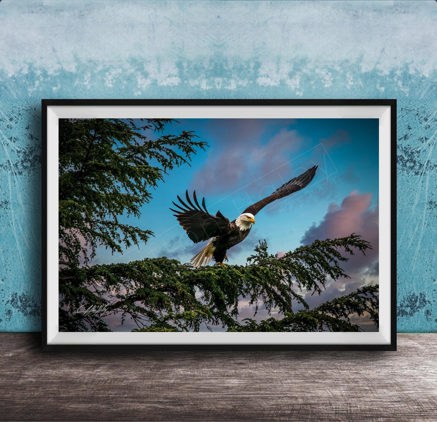 A framed photograph of a bald eagle in flight, with its wings spread wide, against a backdrop of a blue sky with clouds.