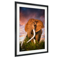 A large elephant with long tusks stands in a grassy field against a colorful sky.