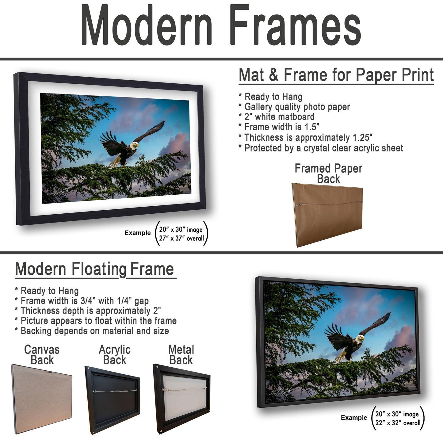 The image is a comparison of modern frames and floating frames for displaying a photograph of an eagle in flight. It includes two framed prints, one with a mat and frame and the other with a modern floating frame, both showcasing the same image of the eagle in flight.