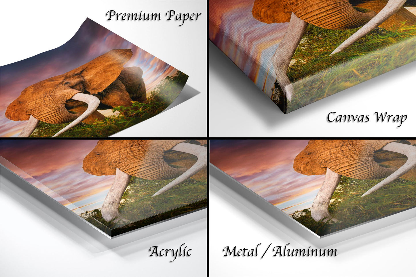 The image is a collage of four different views of an elephant, each with a different material used to display the artwork. The first view is a premium paper, the second is a canvas wrap, the third is an acrylic, and the fourth is a metal/aluminum.