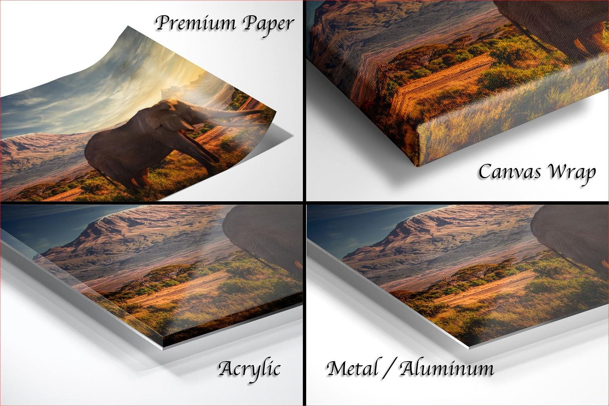 The image is a collage of four different images, each depicting a landscape scene with a large elephant in the foreground. The images are labeled as "Premium Paper", "Canvas Wrap", "Acrylic", and "Metal/Aluminum".