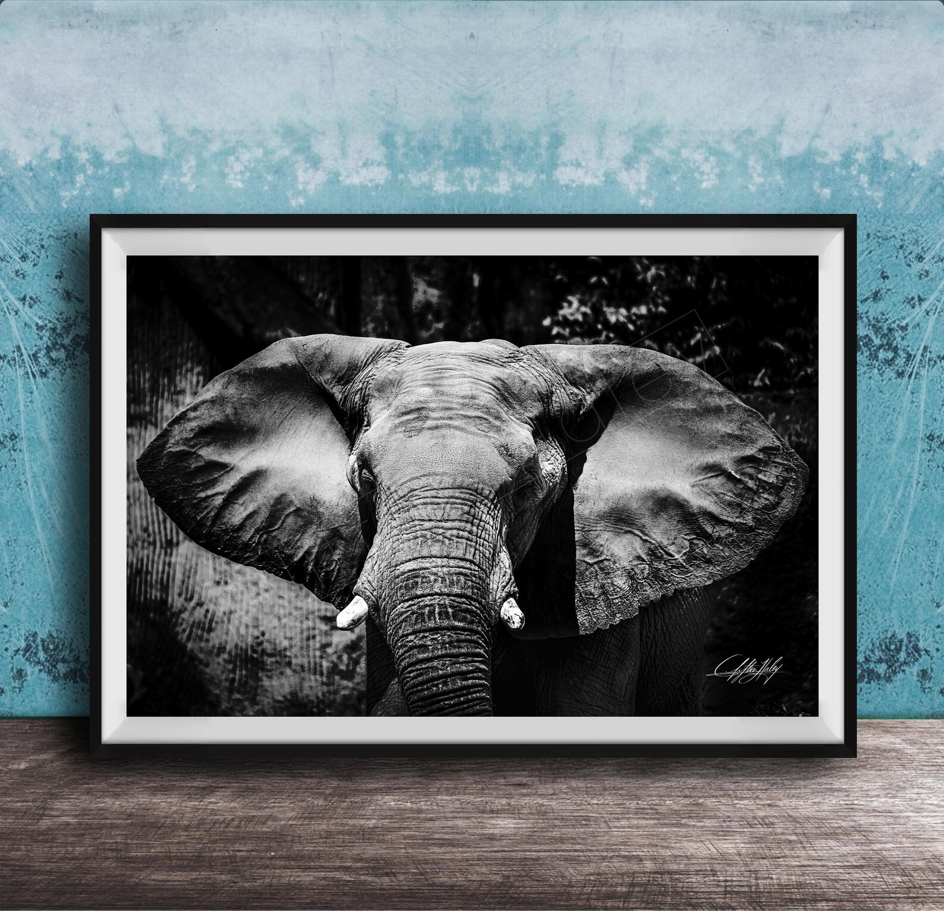 A black and white photograph of an elephant's head and ears, displayed in a framed artwork on a wooden surface against a blue textured background.