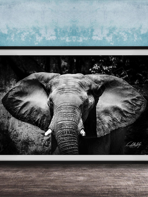 A black and white photograph of an elephant's head and ears, displayed in a framed artwork on a wooden surface against a blue textured background.