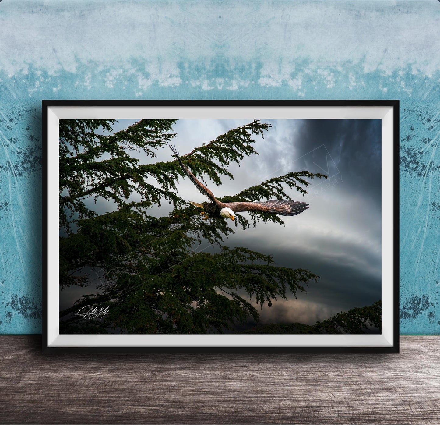 A framed photograph of a bald eagle soaring through a cloudy sky, with the eagle's wings spread wide as it flies over a tree.