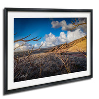 a desert landscape with a clear blue sky and fluffy white clouds.