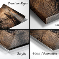 The image is a collage of four close-up photographs of an elephant's eye, each with a different finish: premium paper, canvas wrap, acrylic, and metal/aluminum.