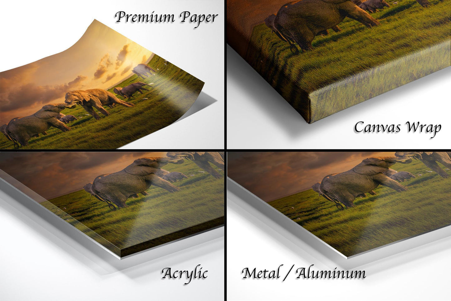 wildlife photography, Amboseli sunrise, elephant battle, Kenya safari, Maasai culture, African wildlife, big tuskers, safari adventure