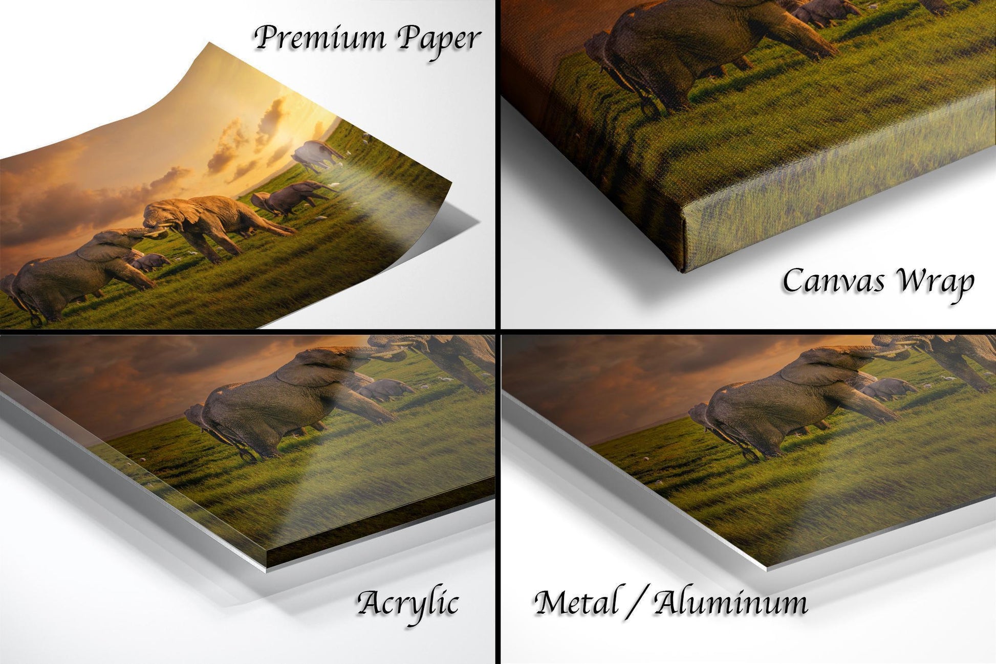 wildlife photography, Amboseli sunrise, elephant battle, Kenya safari, Maasai culture, African wildlife, big tuskers, safari adventure