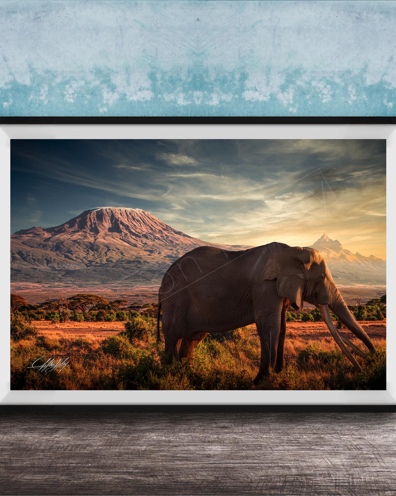 A framed photograph of an elephant standing in a grassy field with a mountain in the background, under a cloudy sky.