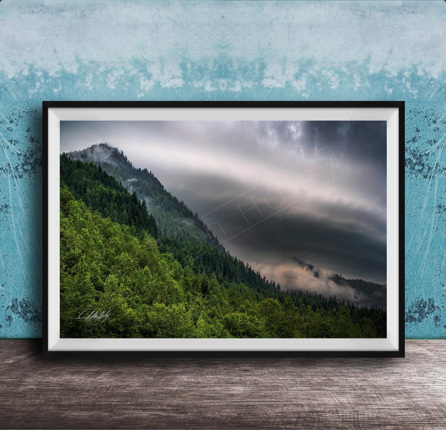 The image is a framed photograph of a mountainous landscape with a forested area and a cloudy sky.