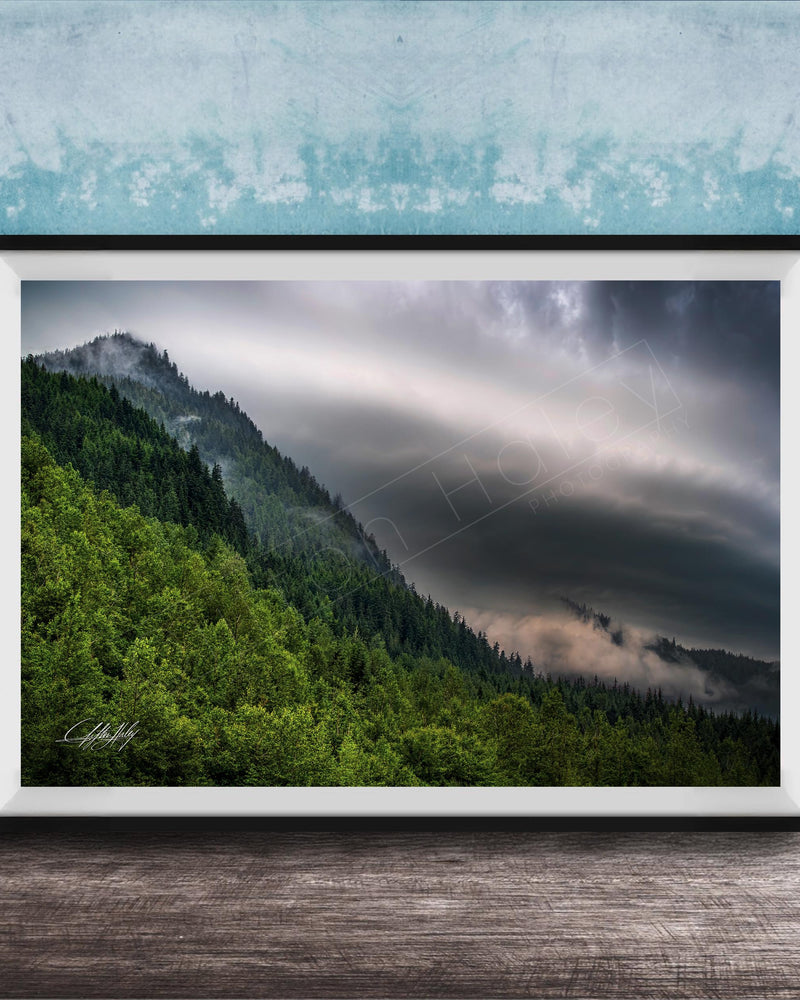 The image is a framed photograph of a mountainous landscape with a forested area and a cloudy sky.