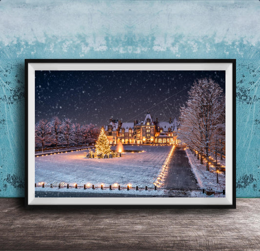 A large, illuminated Christmas tree stands in a snowy landscape, surrounded by a path of lights and a building with a pointed roof, all under a starry night sky.