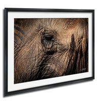 The image is a close-up of an elephant's eye, showcasing its intricate texture and depth.