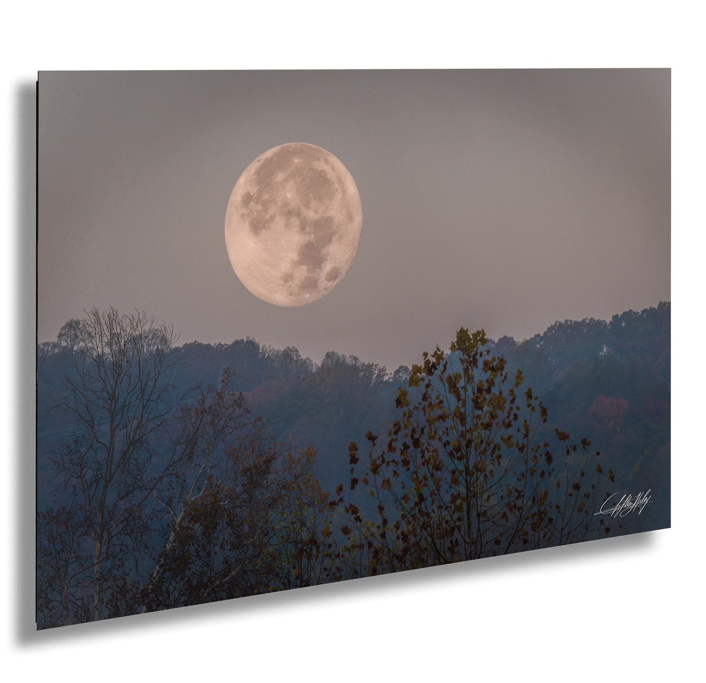 a large, full moon rising over a forested landscape, with the moon's bright light illuminating the trees and creating a serene, atmospheric scene.
