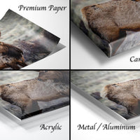 The image is a collage of four photographs depicting a deer in various settings, including a close-up of the deer's antlers, a close-up of the deer's body, and a close-up of the deer's face.