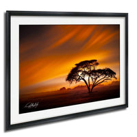 A framed photograph depicting a lone tree silhouetted against a vibrant sunset sky.