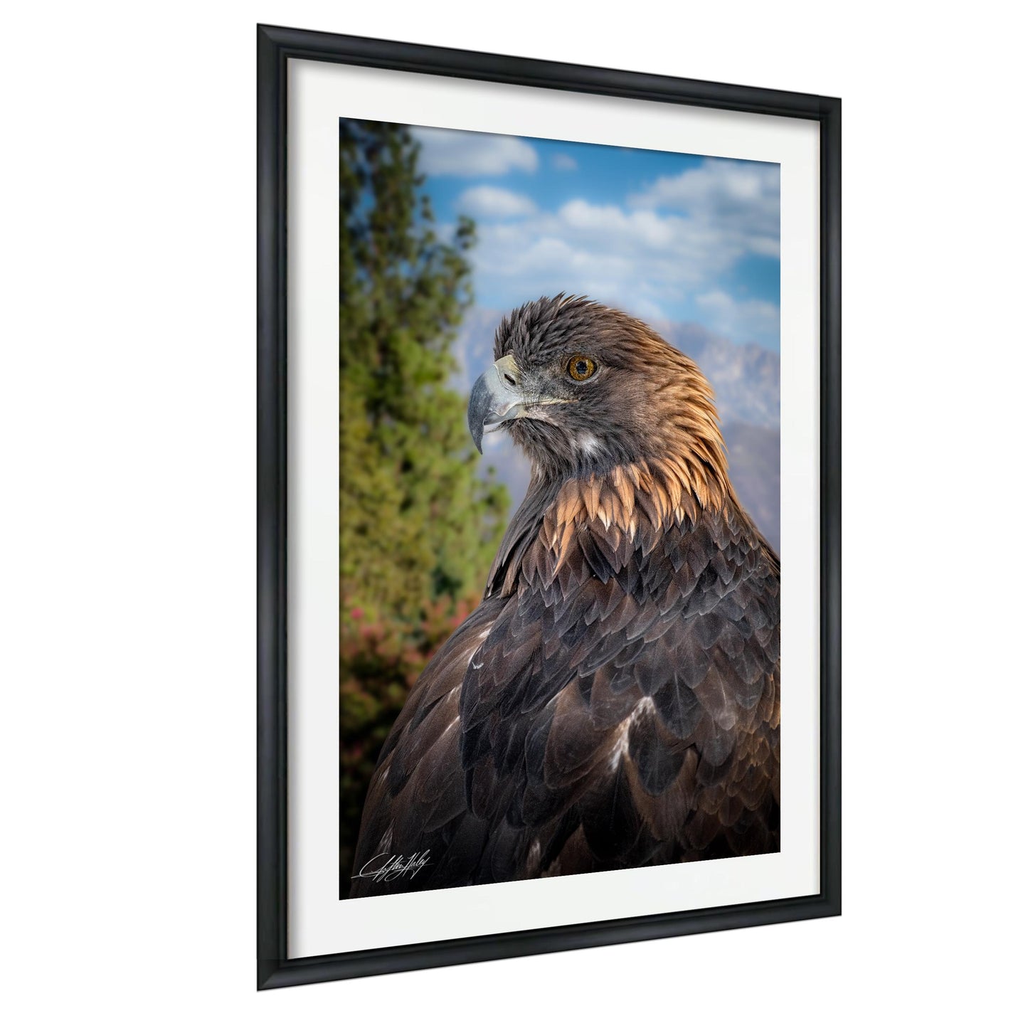A close-up portrait of a majestic golden eagle, its piercing gaze and powerful wingspan clearly visible against a backdrop of lush greenery and a clear blue sky.