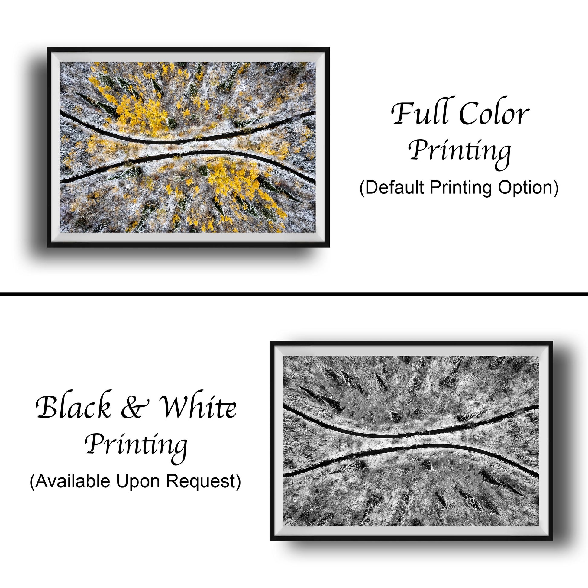The image is a collage of two framed prints, one in black and white and the other in full color. The black and white print is labeled as "Black & White Printing" and the full color print is labeled as "Full Color Printing (Default Printing Option)".