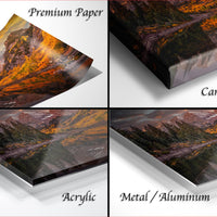 The image is a collage of four different views of a landscape photograph, including a close-up of the paper, a close-up of the canvas wrap, and a close-up of the metal or aluminum finish.